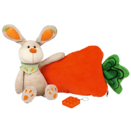 Н2352 Подарочный набор №52 Ушастик с морковкой